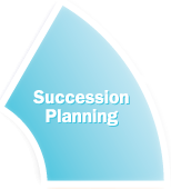 Succession Planning Software